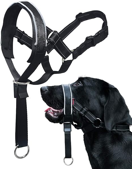 dog head halter amazon