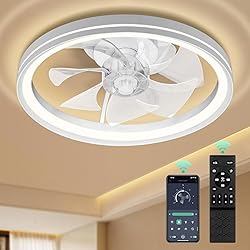 20In Low Profile Ceiling Fans with Lights, Modern