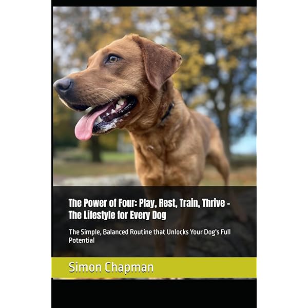 Labrador Retriever Password Book For Women, Men & Kids