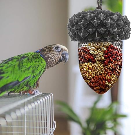 Amazon Com Acorn Shaped Outdoor Bird Feeder Pet Feeding Supplies