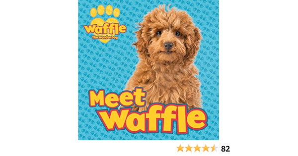 amazon waffle dog