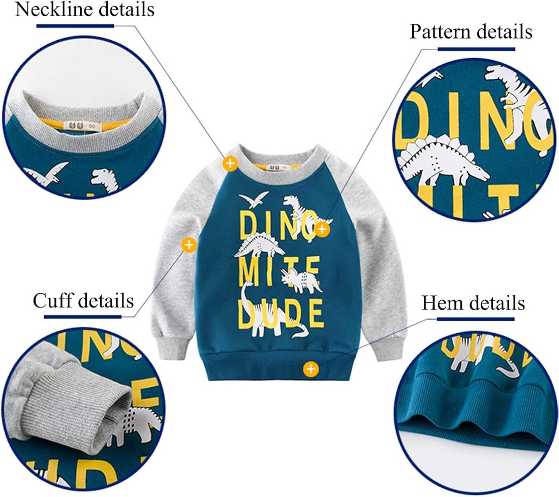 Toddler Boys Dinosaur Sweatshirts Cartoon Winter Long Sleeve Kids Sport Outdoor Pullover Tops Tees 2T-8T: Clothing