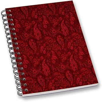 Zusammenfassung Gedrucktes Notizbuch Rotes Draht Gebundenes Blatt A5 Blatt Tagebuch Schule Oder Buro Stationar Amazon De Burobedarf Schreibwaren