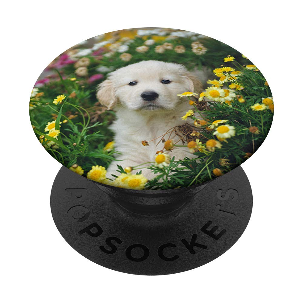Puppy Golden Retriever PopSockets Swappable PopGrip