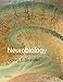 Neurobiology: A Functional Approach