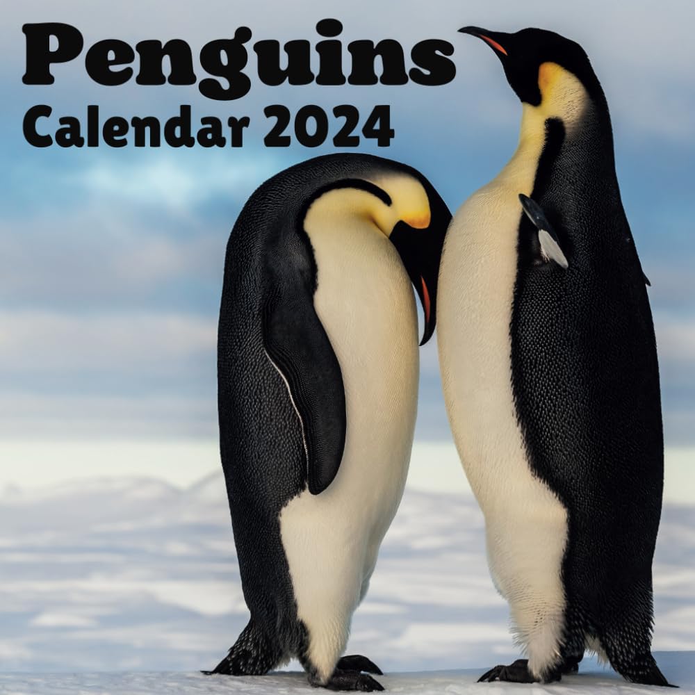 Penguins Calendar 2024: 16 Months Organizer For Home & Office For Penguins lovers , Mens , Womens , kids