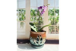 Fowargif 6.5inch Large Round Ceramic Orchid Pots with Holes, Flower Pot with Saucer for Indoor Plants Home Decorative, Round Planter,air Plant Pot