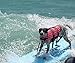 HAOCOO Dog Life Jacket Vest Saver Safety Swimsuit Preserver with Reflective Stripes/Adjustable Belt Dogs?Pink Polka Dot,XXS