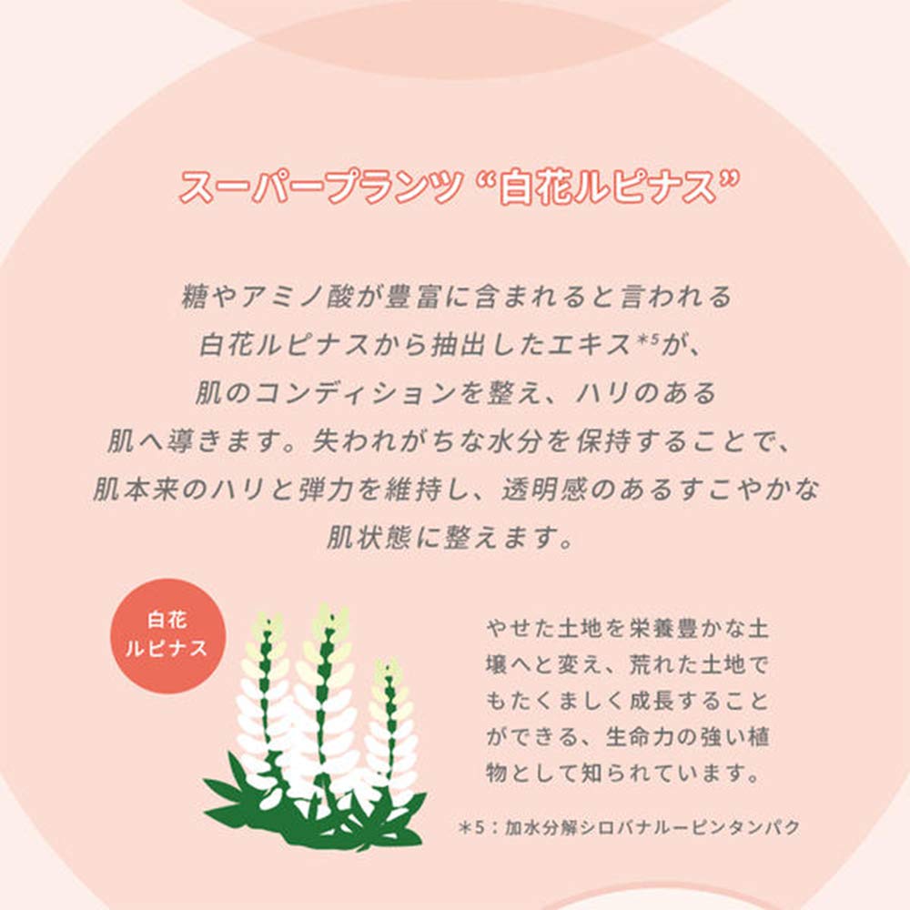ETUDE HOUSE Moistfull Collagen Cream 75ml (New Version) | Facial Moisturizing Anti-Aging Wrinkle Cream for Women Skin Care: Beauty
