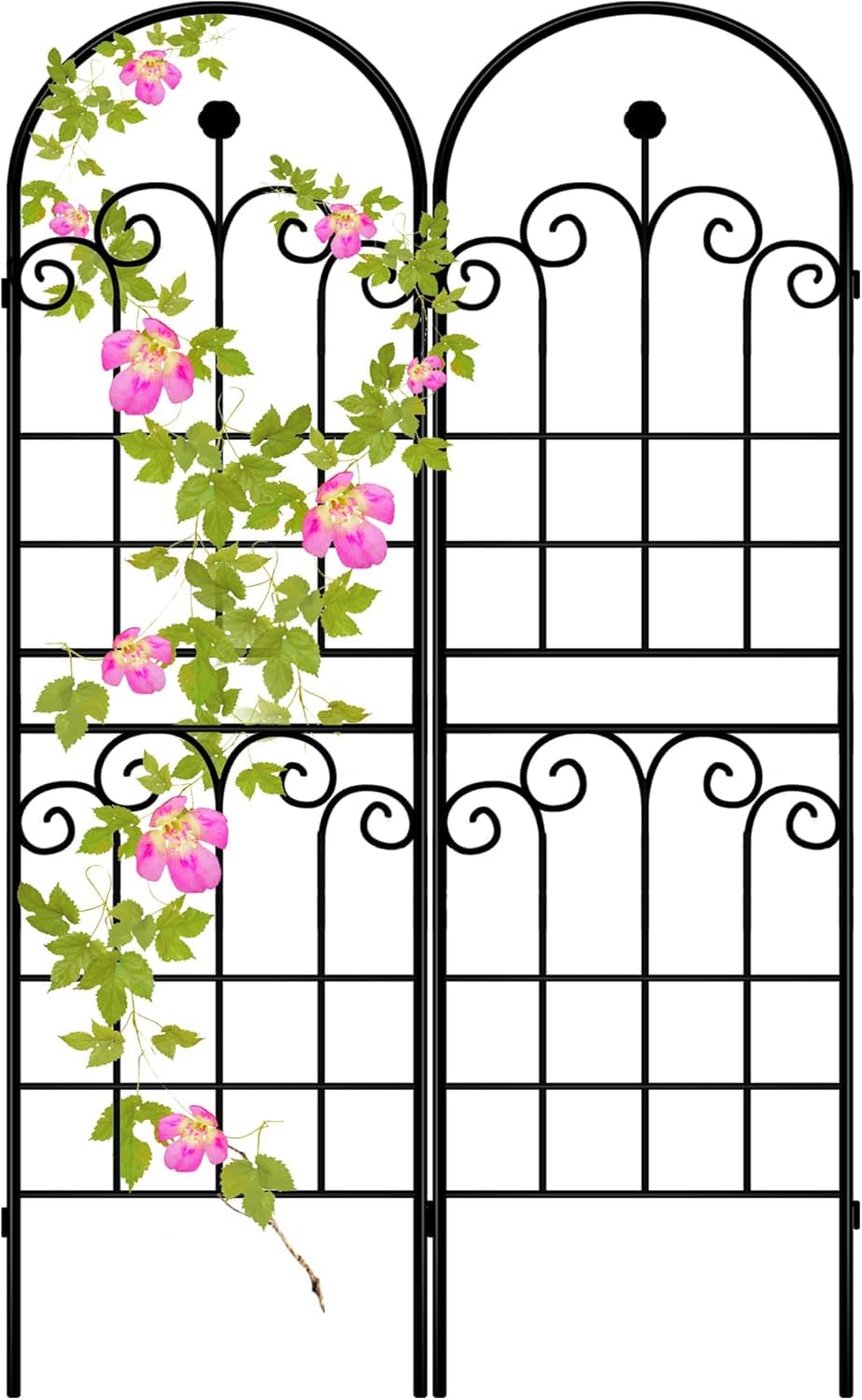 LZRS 2 Pack 71x20in Rustic Iron Arch Decoration Garden Trellis with Black Metal Coating – Perfect for Supporting Climbing Plants Outdoor, Roses, Vines, Flowers, and Vegetables. Image LZRS 2 Pack 71x20in Rustic Iron Arch Decoration Garden Trellis with Black Metal Coating – Perfect for Supporting Climbing Plants Outdoor, Roses, Vines, Flowers, and Vegetables. Image