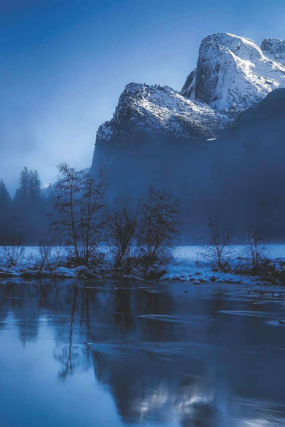 Yellowstone National Park | Discreet Internet Password Book: A Secret Password Book to discreetly keep your data hidden in plain sight