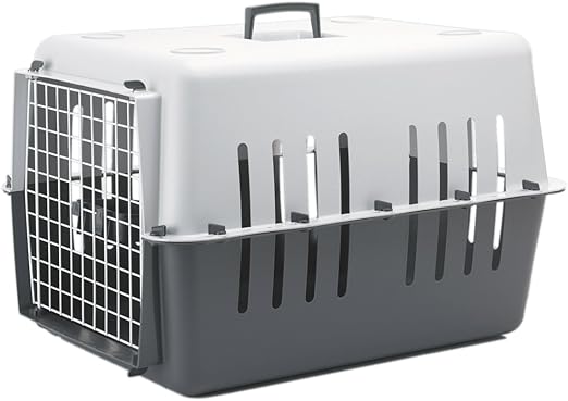 best betta fish filter