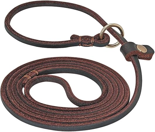 amazon dog slip leads