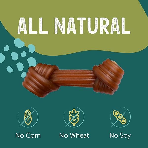 GNAWTURALS RAWHIDE FREE DOG CHEWS | RIBBED BONES | FOR LARGE – EXTRA LARGE DOGS | PUMPKIN, PSYLLIUM HUSK AND CHICORY ROOT FOR EASY DIGESTION AND OVERALL GUT HEALTH (2 BONES, PUMPKIN)