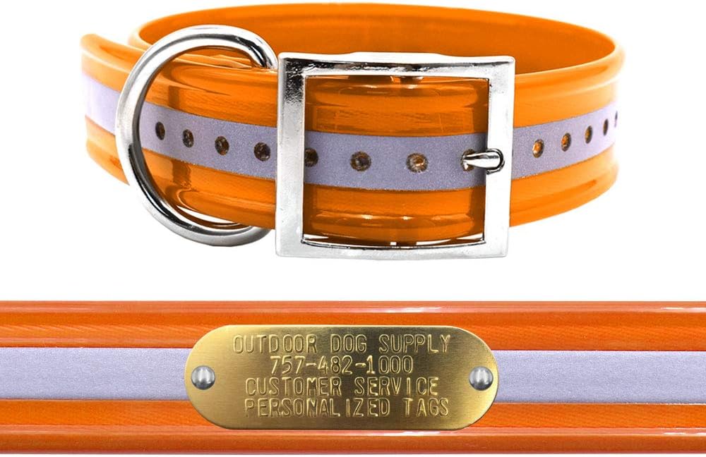 1 1/2" Wide D Ring Reflective Hunting Dog Collar with Free