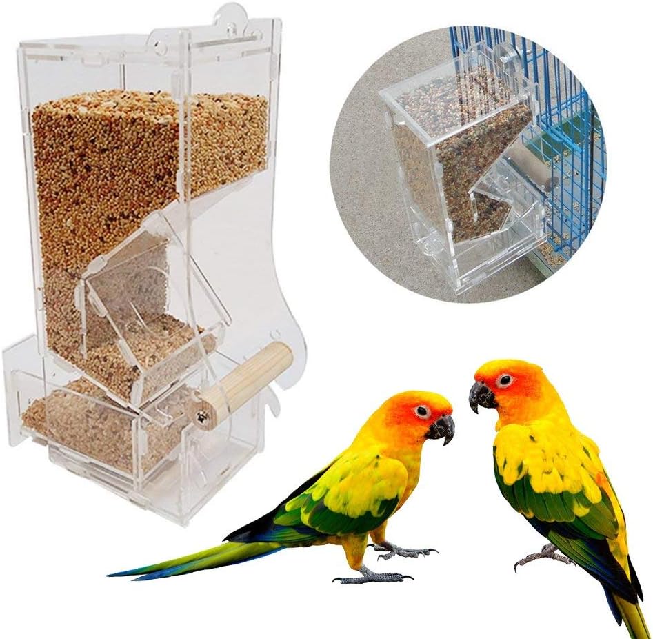 automatic timed feeder