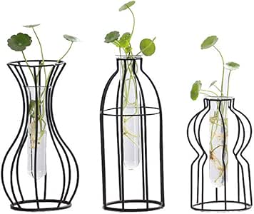 GRLL Conjunto de 3 jarrones de Hierro hidropónico de Vidrio