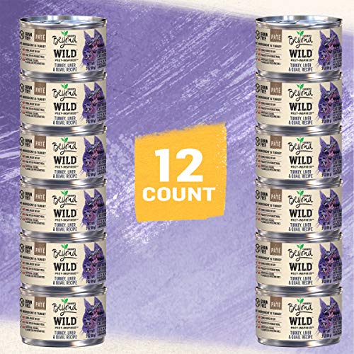 Purina Beyond Grain Free, Natural, High Protein Pate Wet Cat Food, WILD