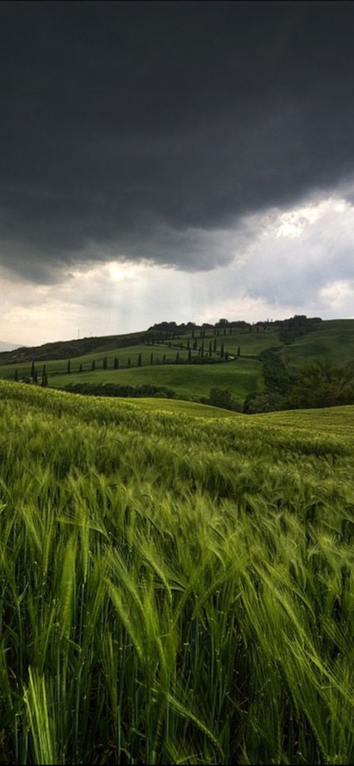 PeelitStickit, Beautiful Nature Wall Murals, ID-3324, vinyl