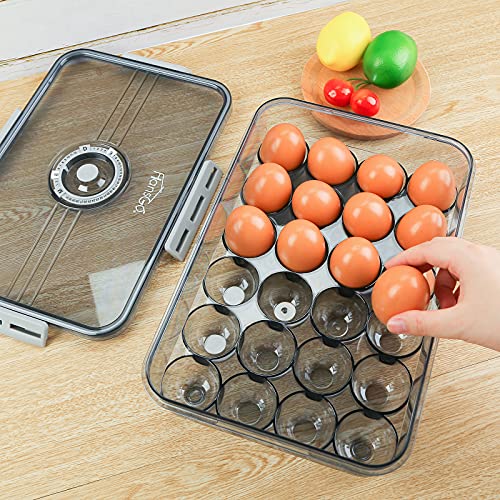 HANSGO Egg Holder for Refrigerator, Clear Egg Tray Storage Box with Lid Deepen and thicken Egg Storage Stackable PET Plastic Egg Containers Hold Up to 24 Eggs, Grey