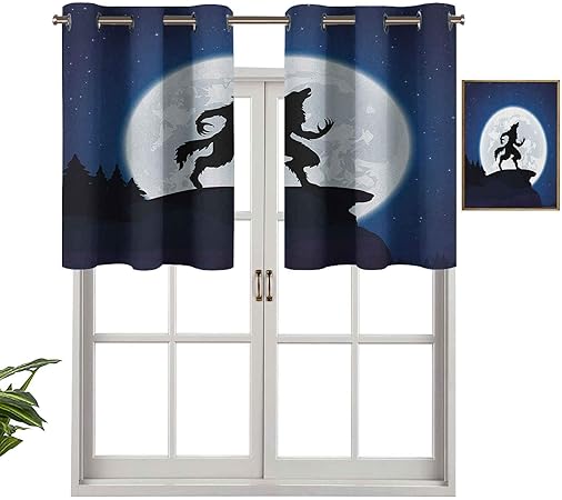 Hiiiman Panel de cortina de bloqueo UV con cenefa de luna completa