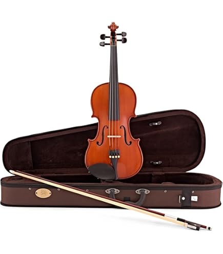 Stentor 1500 1/4 Violin : Amazon.ca: Musical Instruments, Stage