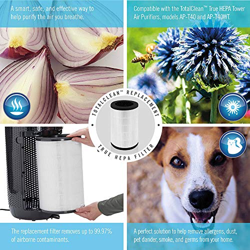 HoMedics TotalClean, 360 Degree Hepa Air Purifier Replacement Filter