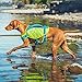 Outward Hound Standley Sport Dog Life Jacket, High-Performance Ripstop Dog Life Vest for Swimming, Boating, and Water Safety, Large, Green