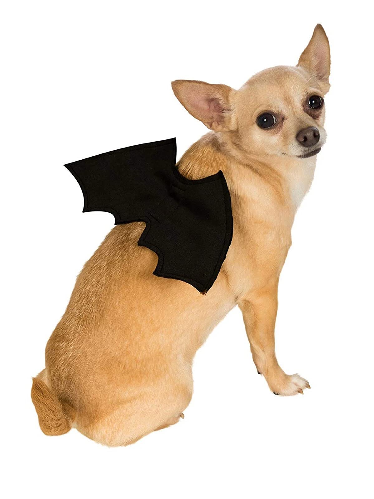 Rubie's Official Black Vampire Bat Wings, Pet Halloween Fancy Dress Accessory, Dog Size Small-Medium Halloween Halloween