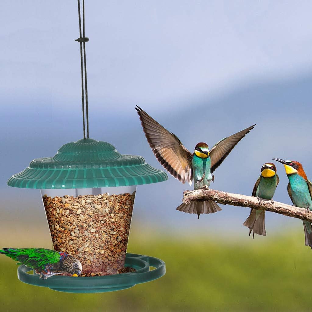 Watopi Wild Birds Seed Feeder, Clear Garden Bird Feeding Lantern