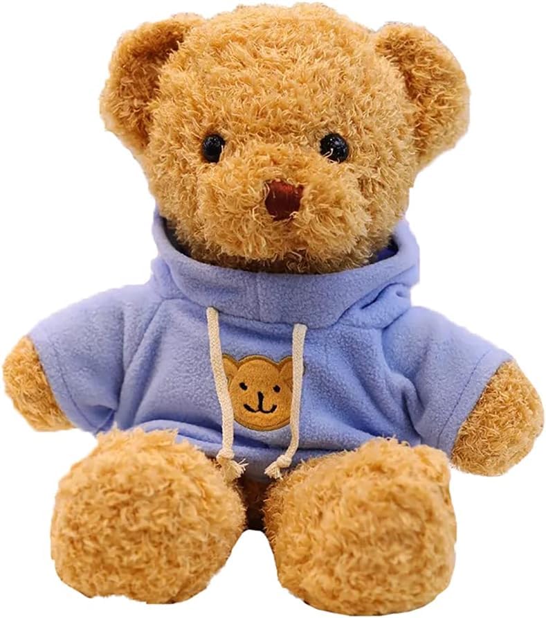 Photo 1 of BIUBIULOVE Teddy Bear Stuffed Animal, Teddy Bear Plush Toy, Birthday for Kids Boys Girls Friends (Blue, 12inch)