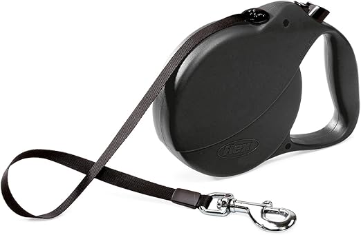 amazon retractable leash