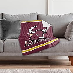 Colorado Mesa University Primary Logo Stripes