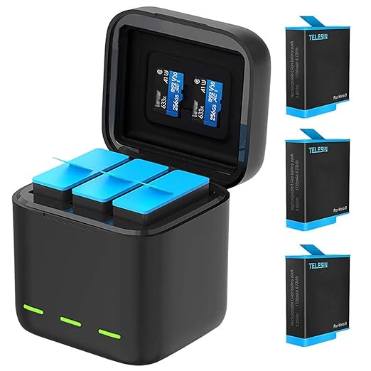 Buy Battery Charger Compatible with GoPro Hero 9 Black Waterproof