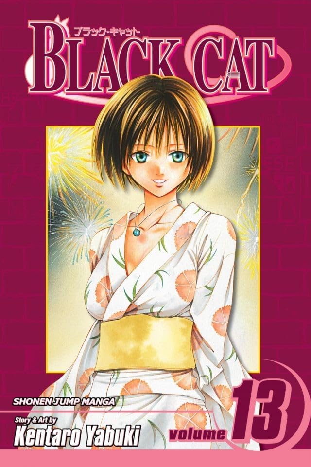 Amazon.com: Black Cat, Vol. 15: Eve of Battle eBook : Yabuki