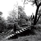 TIMBER TIMBRE
