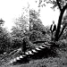 TIMBER TIMBRE