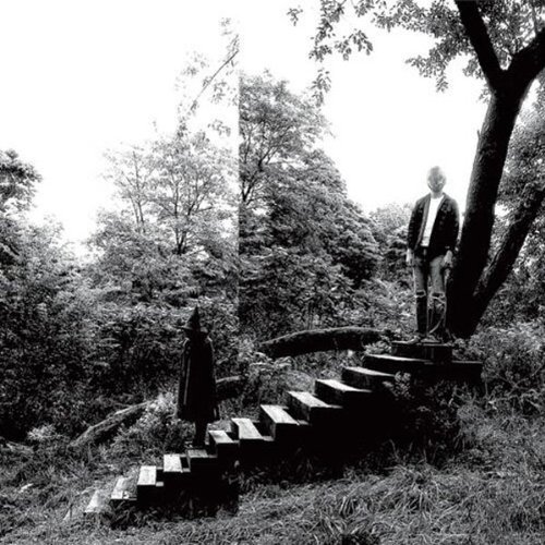 TIMBER TIMBRE