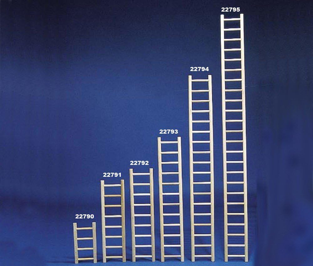 Wood Parrot Ladder 36"