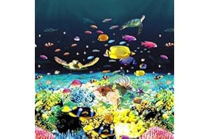 Quality Pool Products Great Barrier Reef 18x33 ft Oval Beaded x 48", Above Ground Pool Liner (18'x33' Oval)