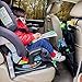 Car Seat Organizer for Backseat