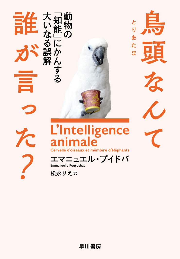 鳥頭なんて誰が言った 動物の 知能 にかんする大いなる誤解 Amazon Com Books