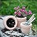 G & F Products G & F Garden Miniature Fairy Garden Tiny Pots (Set of 3), Orange …