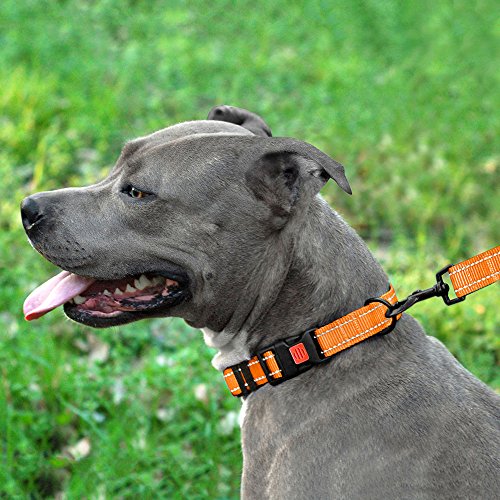 CollarDirect Reflective Dog Collar, Safety Nylon Collars for Dogs with
