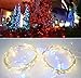 AICase Dimmable LED String Lights with Remote Control, 33 Ft 100 LEDs Waterproof String Lights Party Wedding Christmas Lights for Indoor/Outdoor Home Garden Decorations (1, Multi)