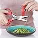 Herb Scissors Stainless Steel Multipurpose Kitchen Shear with 5 Blades with Cleaning Brush (Red)