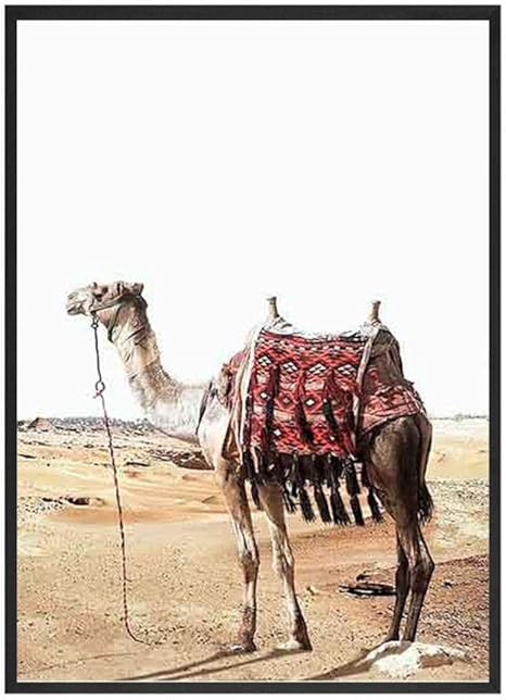 Amazon 砂漠の動物のラクダのキャンバスの絵画のポスターとプリント壁アート自由奔放に生きる壁のリビングルームのモダンな写真家の装飾 60x90cmフレームなし ウォールステッカー オンライン通販