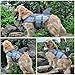 Petacc Dog Life Jacket Pet floatation vest Dog Lifesaver Dog Life Preserver for Water Safety at the Pool, Beach, Boating (M, Shark)