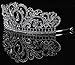 LRKC Rhinestone Crystal Wedding Crown, Pageant Princess Tiara, Bridal Headband