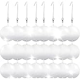 Hedoc Reflective Bird Scare Discs Set, 24PCS Large Double-Sided Bird Deterrents for Outside, Bird Reflectors to Keep Birds, Woodpeckers, Pigeons Away from House, Outdoor Garden, Patio and Yard